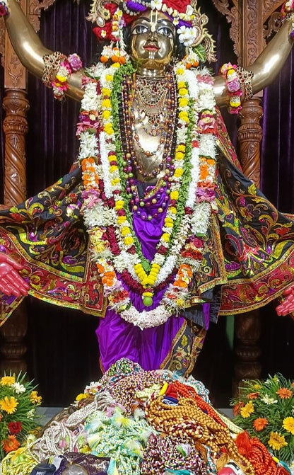 Sacred Pavitra – Blessed in Sridham Mayapur